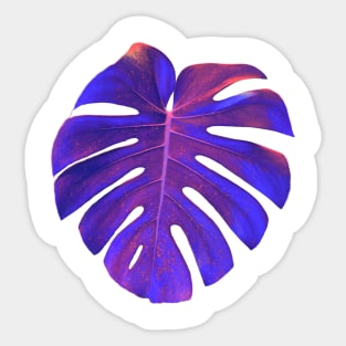 Blue monstera leaf Sticker